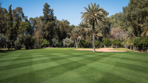 Royal Marrakech Golf Club.